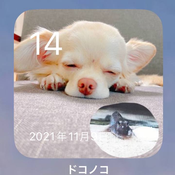 0bcbcadd 6402 42d0 8905 401c39d395f0 1668429714030