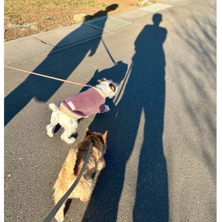 0bcbf1d1 95f4 4066 b93f 2f67cada7e45 1707743556678