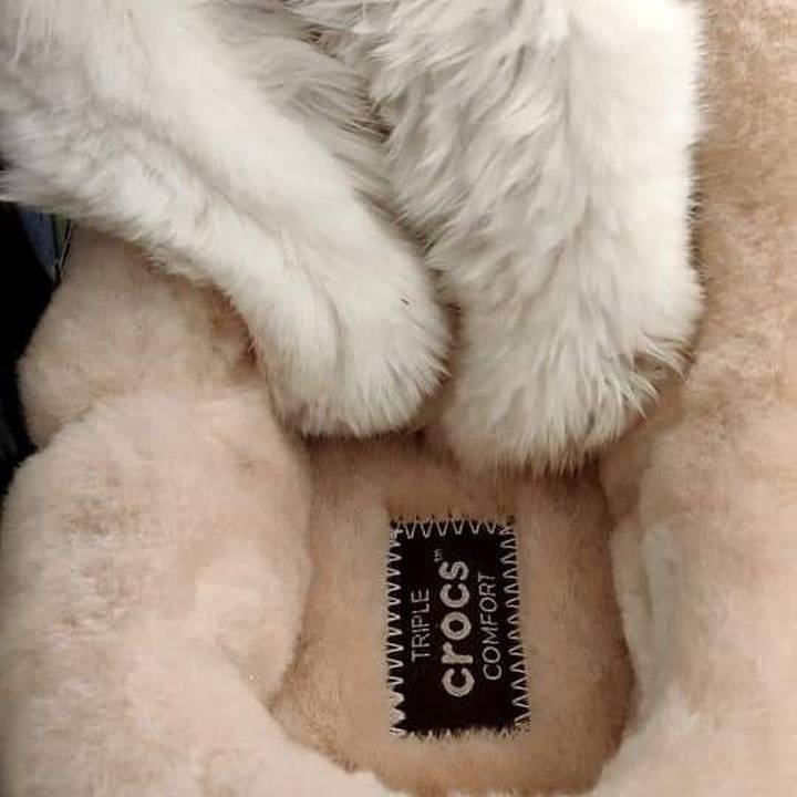 0bcc2bc2 3a92 478f 8088 6aa9a88fae03 1607268160260