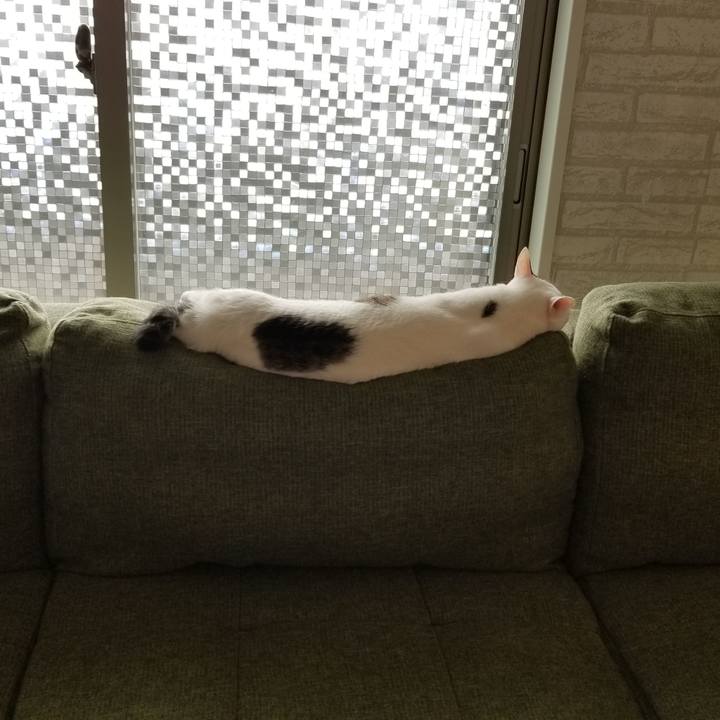 0bcc5897 49e9 47d0 b905 821814288ba6 1547004303246