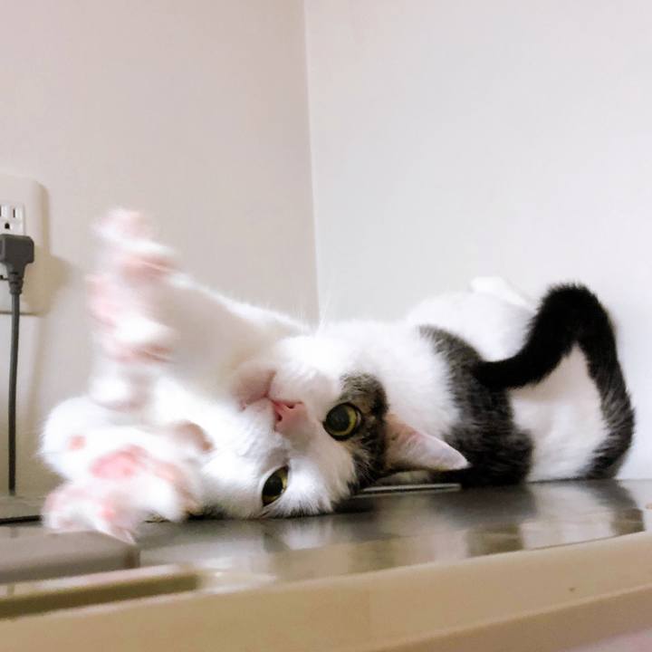 0bcc5af8 839f 4680 abcc 643d941e7b4c 1688853956672