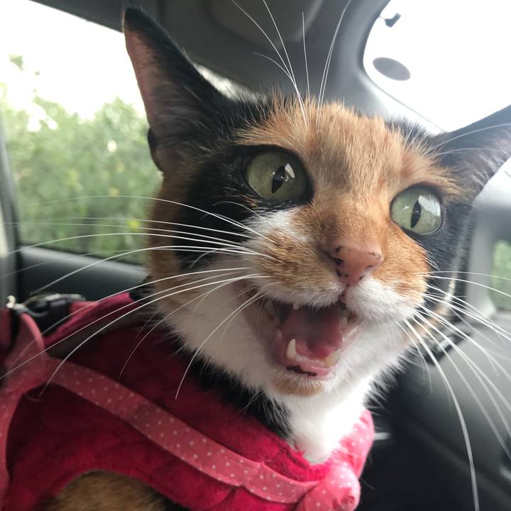 0bcc6b11 cd52 41f7 9a34 7e2ca443ccb8 1566282814898