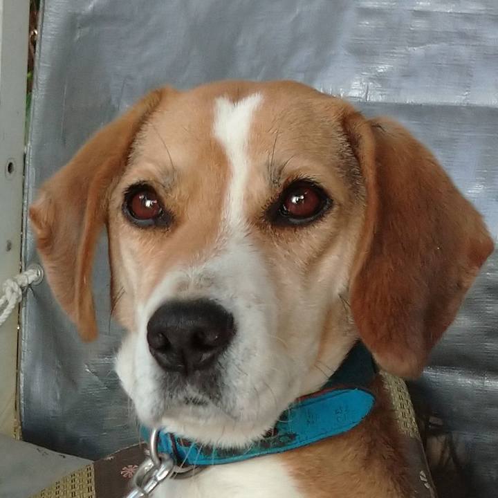 0bcc6c6e b10a 480e af61 53cf1d06a929 1607749924071