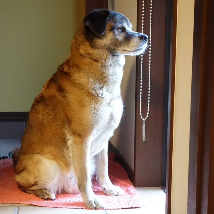 0bcc6f5b 6f2f 4fa1 8417 d2665568658f 1526209495278