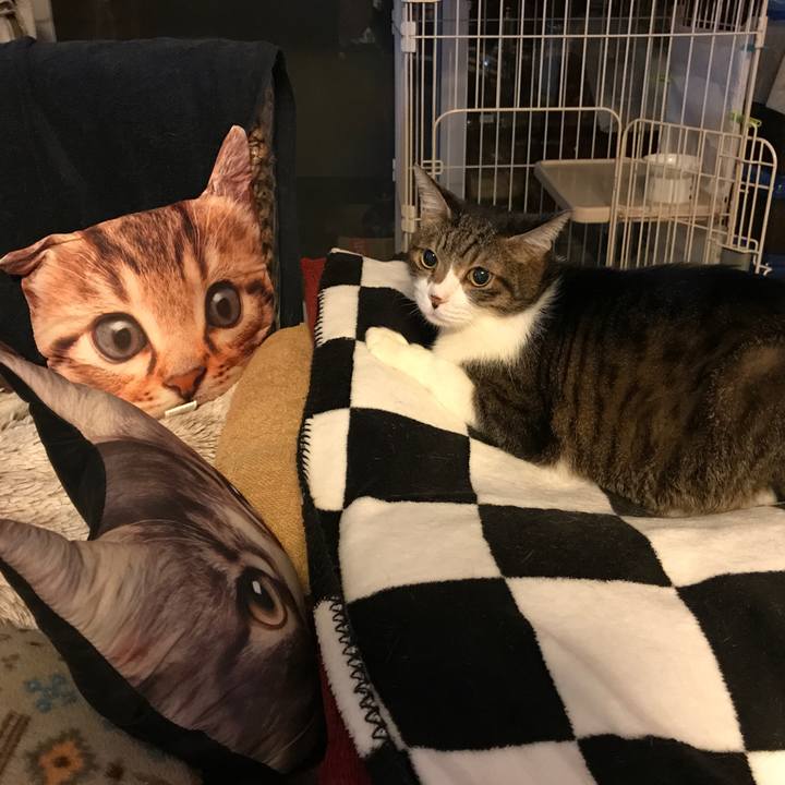 0bcc7405 54e4 416c b9f6 dd08d086393a 1524242913944