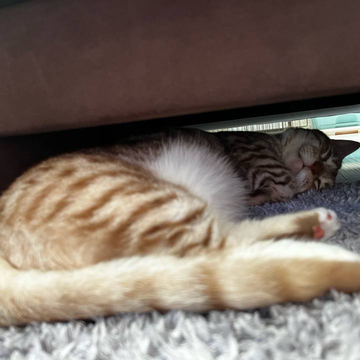 0bcc855a 7056 4805 aad9 4a90fc49c734 1659840858542