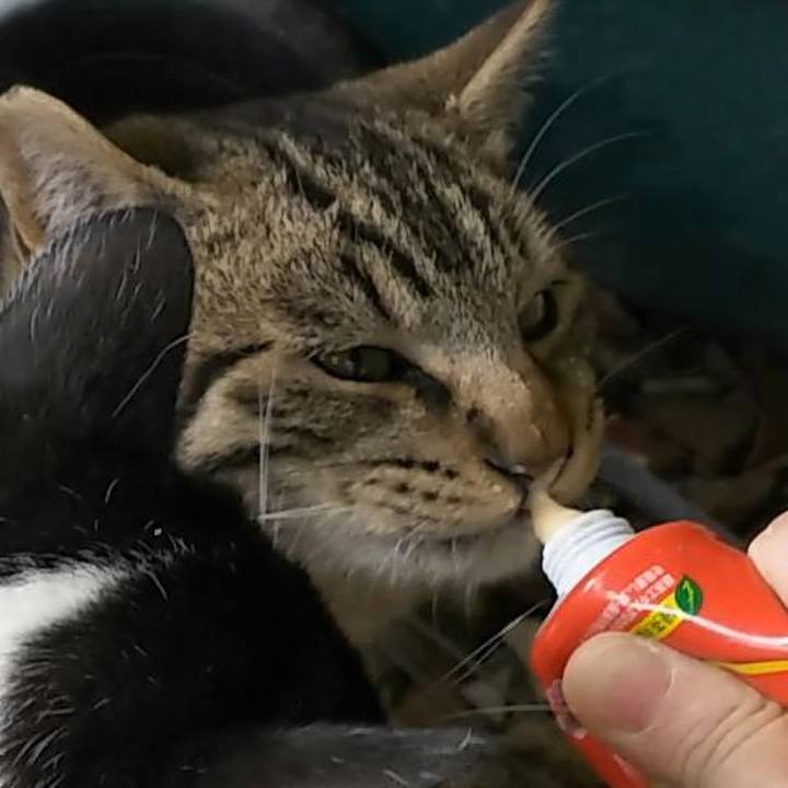 0bccc66b 68a0 4ec4 98d0 676fe5e955f0 1550031182418