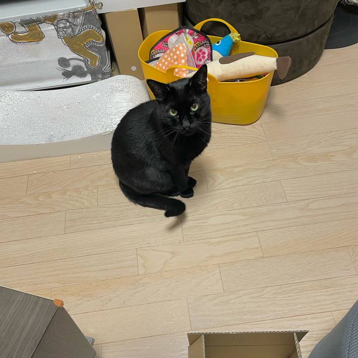 0bccd155 c1dd 4793 82fc 2c0bada00f61 1641477937455