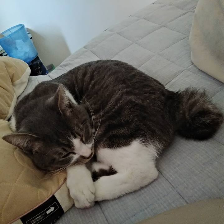 0bccd3d3 70f0 4983 b08d 6997af9e3253 1586138032102