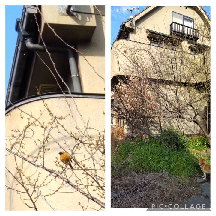 0bcd2b63 163e 4d5e 9c0b d3a9bdc4754c 1710982372805