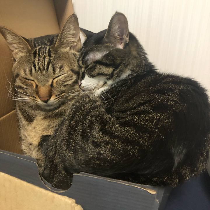 0bcda01d aa82 433a 952b a15703d60b7c 1543336343718