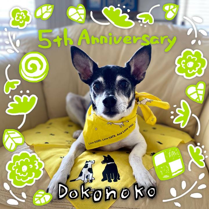 0bcda9e7 1691 4e44 95a2 94b24368c19d 1622863031905