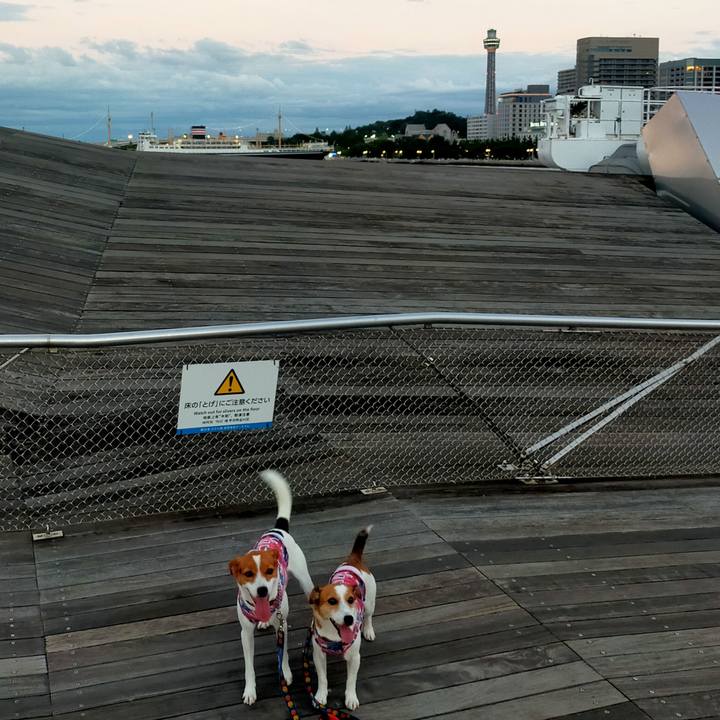 0bcddc51 9d8c 4272 867f 59b8836b403f 1790075297409