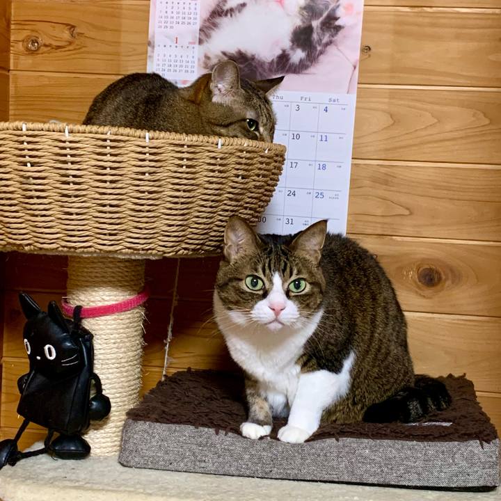 0bcdfe50 0dc7 4b92 8d03 13ab0042895d 1640390602564