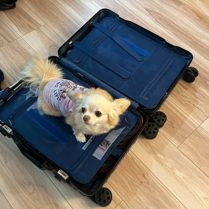 0bce0314 31fb 46b0 9a40 ecd482b9d208 1752154709930