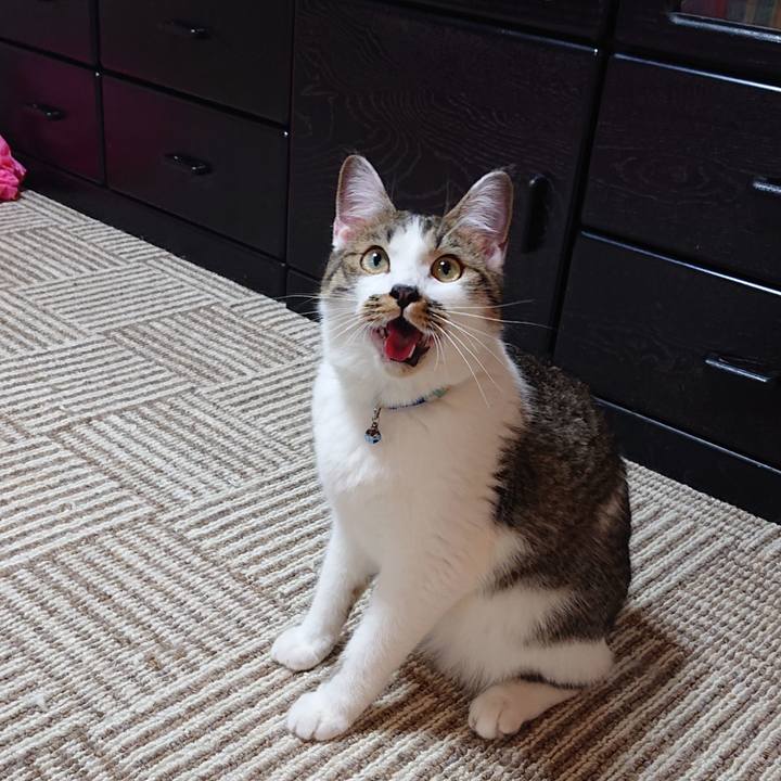 0bce164d 4df8 472f 8353 24565c862a3a 1565965750719