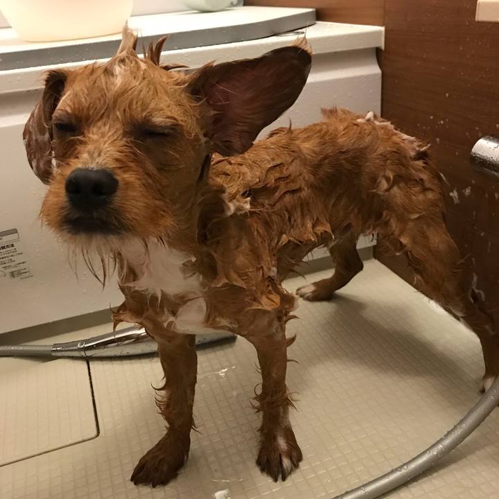 0bce2c2e b98b 491c 8e2d f602c997af77 1530956637882