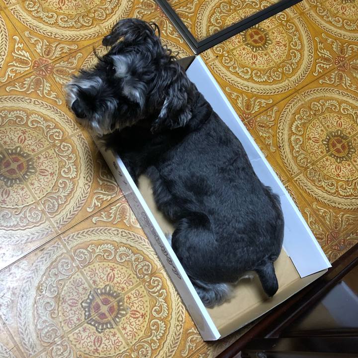 0bce53c4 2ead 497f b508 eedd11d4923d 1633696938353