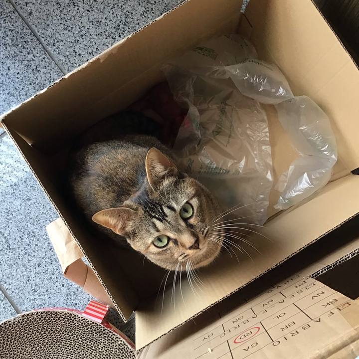 0bcf19e7 bb29 4bc9 8bc4 b4b80b09a8bb 1606278376895