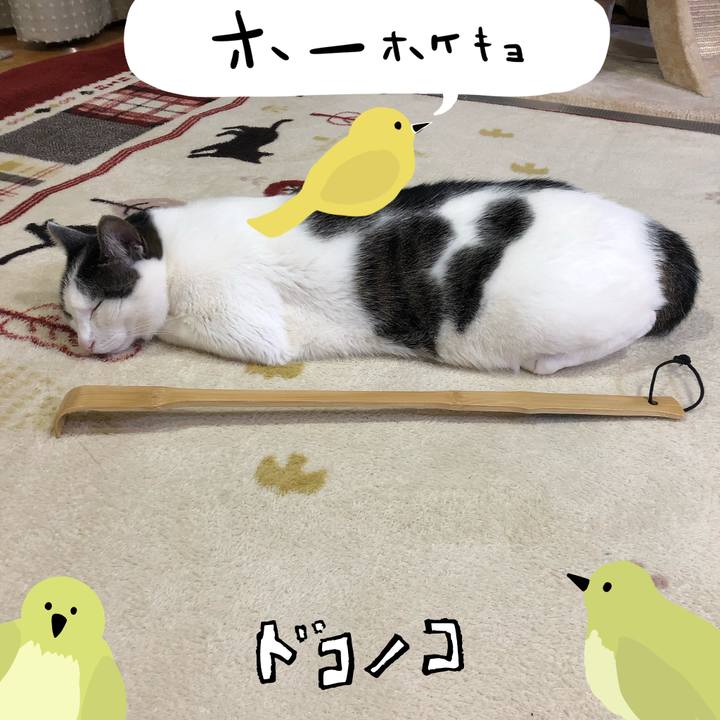 0bcf61b9 b950 4873 88fd f30b78a8973f 1711355925322