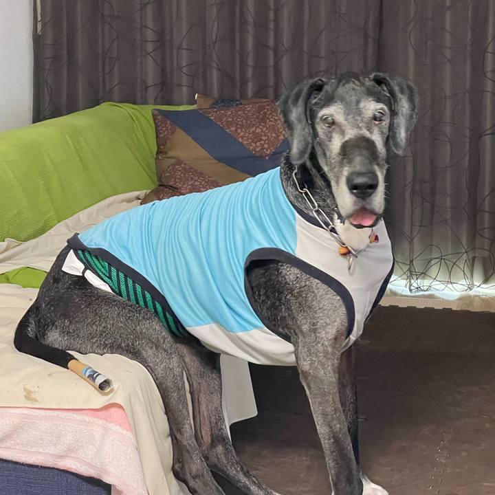 0bcf6a90 7e62 4847 94d4 e39416a91596 1659997775808