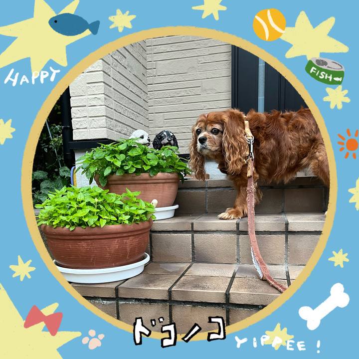 0bcf87c4 0d42 419c 9648 4cf0e4c0167c 1720913445217