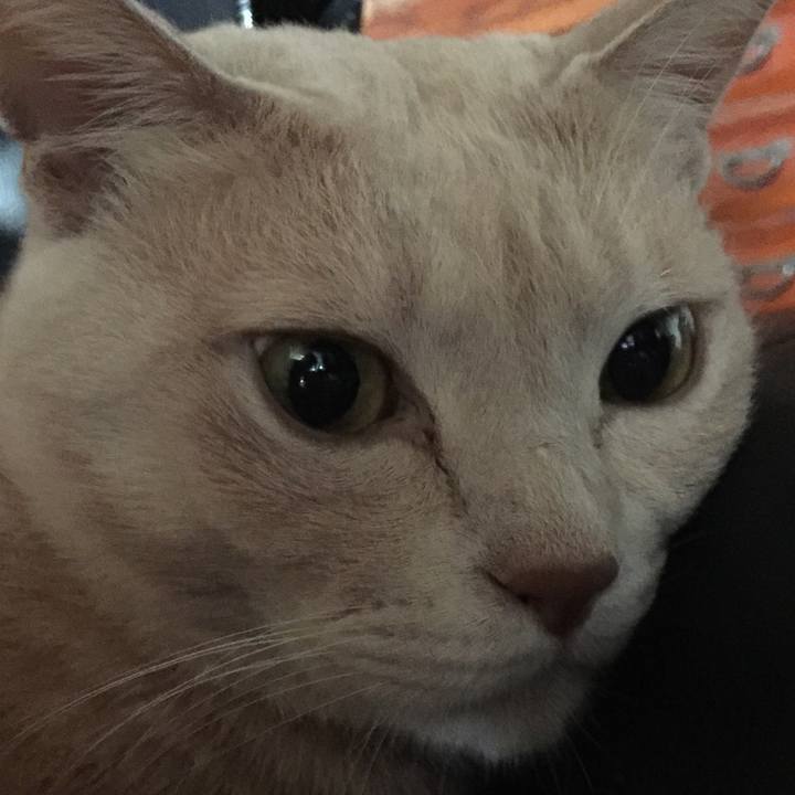 0bcf95fb fdad 47fb ac77 e2aafe3a3727 1571871721703