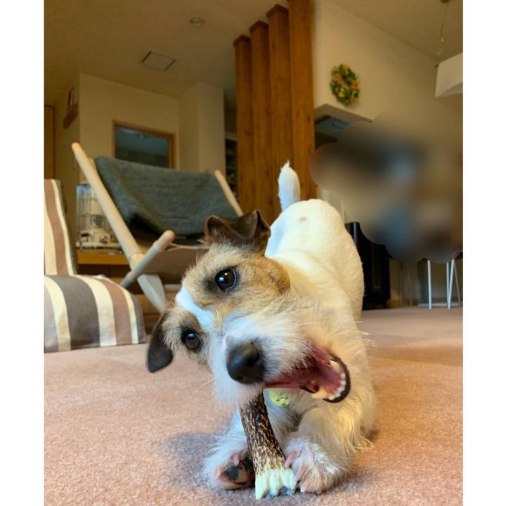 0bcfb251 8c4b 4e04 be07 ec1f14be368a 1586738572535