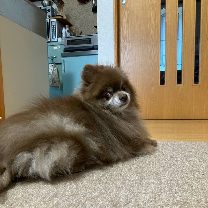 0bcfbb7c 4185 4c03 9571 056e52f4137d 1670366286603