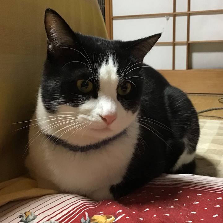 0bcfcec5 cd28 485f 9da2 ab90cd74cf64 1670936266552