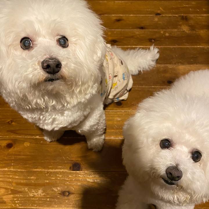 0bcfd597 b49b 4b21 8fc6 3435c7023538 1618226586639