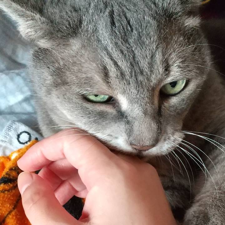 0bcff734 b9ea 452b 807e a49e22966600 1631667616256