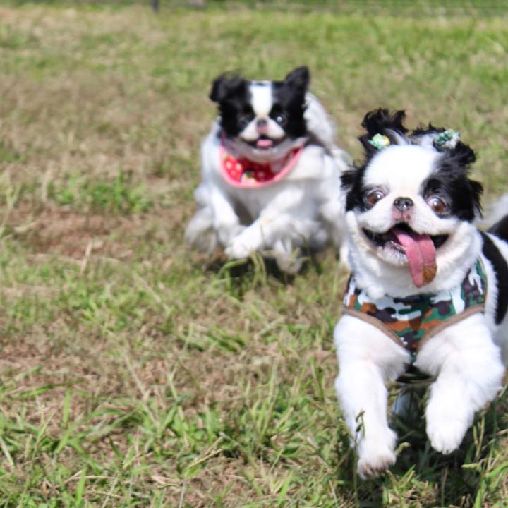 0bd0840b f944 40b3 9404 450106058061 1691812320977