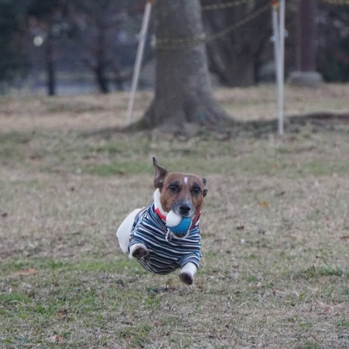 0bd096f3 bfc9 4a54 b680 06aedec8ced6 1544481974092