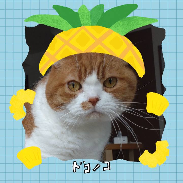 0bd0b7e7 da1b 4266 a13a f9a1473296e2 1783936059392