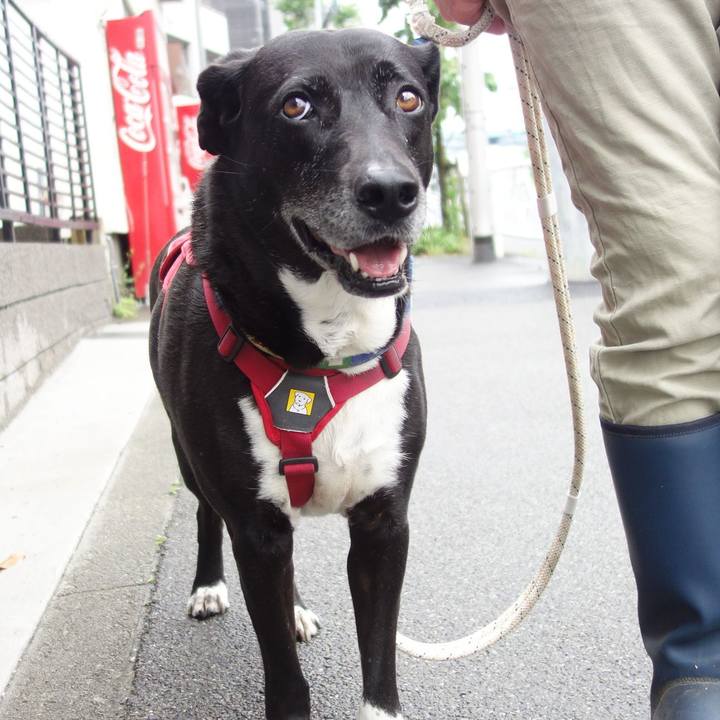 0bd0c330 d61c 4c99 b84c e5f2e4e6c98b 1684542139156