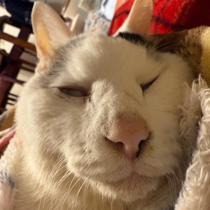 0bd0cbf0 322b 455b 9f32 20609be3d496 1770208888036