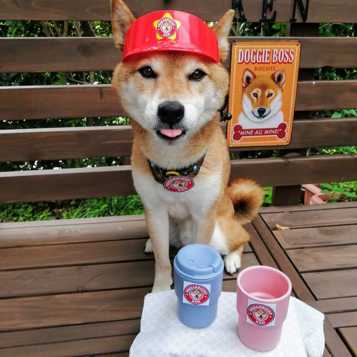 0bd0cf3f 947c 4f74 b9cf 202b94013374 1624688931248