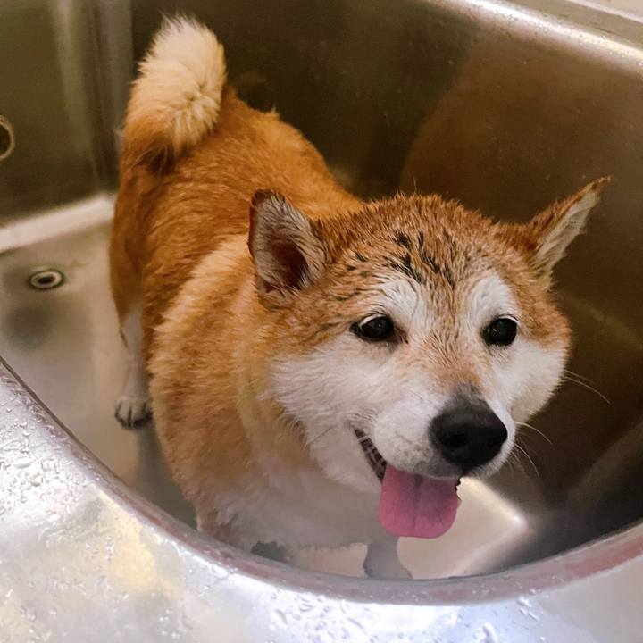 0bd0d15b 079f 447a 9c75 eb86a510fdfa 1710315412714