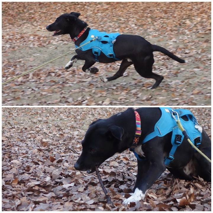 0bd0d306 69e1 4187 acd3 f3f6e5f24d78 1608769551938