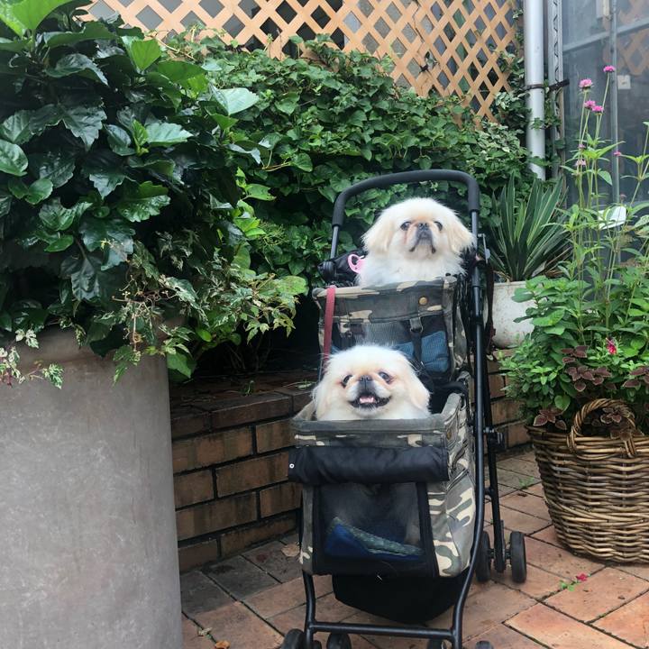 0bd0e405 0984 4804 a533 5254995f10eb 1563852543536