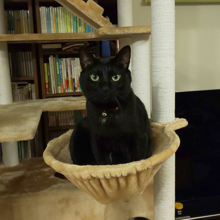 0bd1569e e2e0 44b7 9229 b62da860f4fd 1579952987090