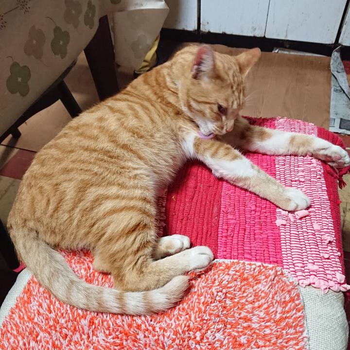 0bd15f29 50e5 4b02 aca3 b63a0dd59b57 1562929176378