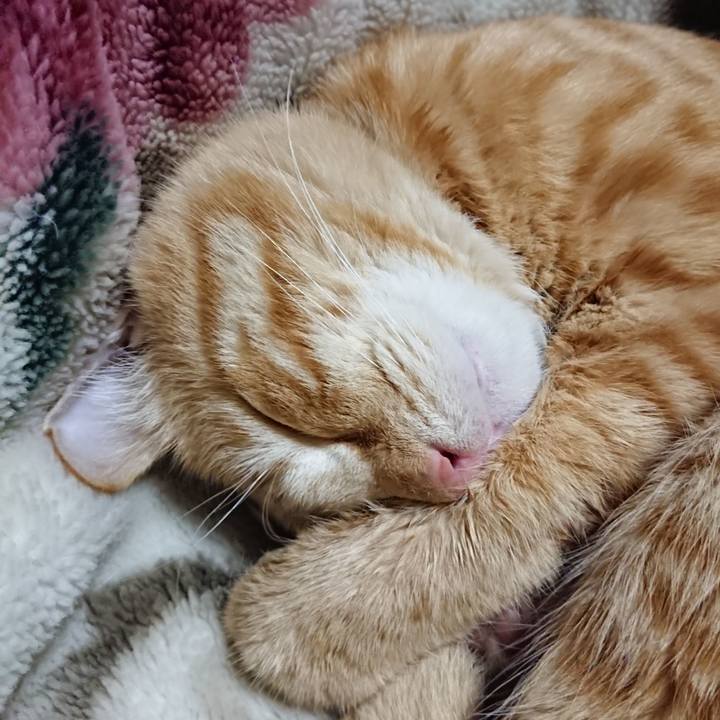 0bd18bb9 6364 46bd a26e e396e7c8e502 1642596119738