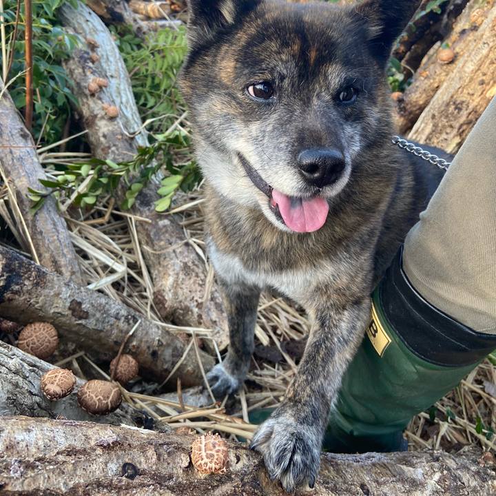 0bd21fca 5e3d 491a 98a2 9a6c8cf45bd2 1616195357938