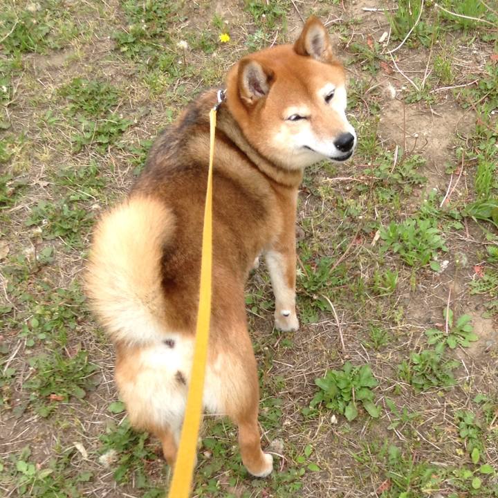 0bd2523f 650c 48a3 aaee c240e1813cdd 1524568761535