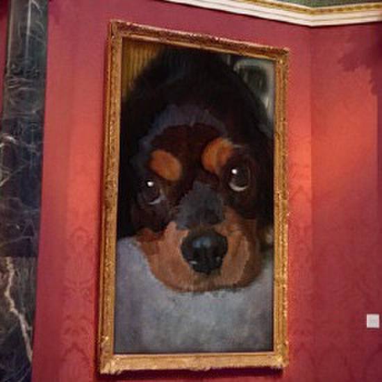 0bd25869 7e30 41bc 8033 c5e330613116 1508655765258