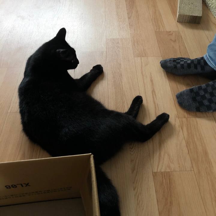 0bd272f9 0cab 4c6b 8f42 47d42b529c50 1572066122938