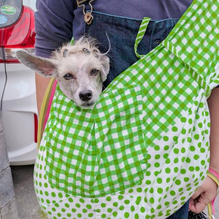 0bd27764 3e63 49be b6a8 73675a51b726 1760445425985