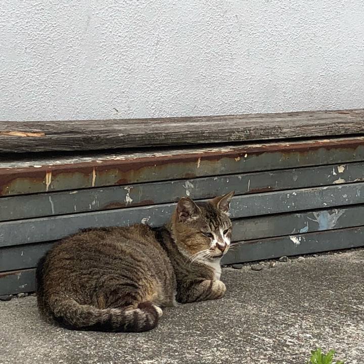 0bd2b7a7 e40c 4e7a b25c 8f9b3388f3f0 1527497473802